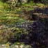 Claude Monet oil painting reproductions #175 Water Lily Pond hand copied by PaintingsPal artist DW