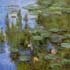 Famous artworks reproductions in oil #196 Nympheas (Water Lilies) and reproduced by our painter XD Wen in Feb 2008