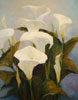 stock oil painting #118 Calla Lilies