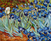 Stock oil painting #136 Iris by Van Gogh and reproduced by PaintingsPal painter WXD (sold)