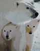 Oil paintings in stock #168 Polar Bears