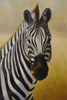 Oil paintings in stock #169 Zebra Portrait