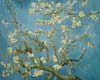 Stock oil paintings #236a Almond Blossom(a version of Van Gogh museum The Netherlands) by Van Gogh and reproduced by PaintingsPal painter XD Wen