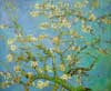 Stock oil painting #236 Almond Blossom by Van Gogh and relicated by PaintingsPal artist XD Wen (brilliant tones)