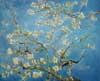 stock oil painting reproductions #238 Almond Blossom, 1890 by Van Gogh and reproduced by WXD (blue tones,sold)