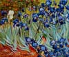 Stock oil painting #254 Iris by Van Gogh and reproduced by PaintingsPal painter WXD (sold)