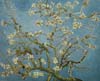 stock oil painting reproductions #261 Almond Blossom, 1890 by Van Gogh and reproduced by WXD (sold)