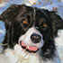 Pet portrait from photo sample #250 Sheepdog in the snow