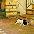Oil painting from photo #261 Noon Courtyard