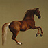 Oil painting reproduction samples #307 Whistlejacket by George Stubbs